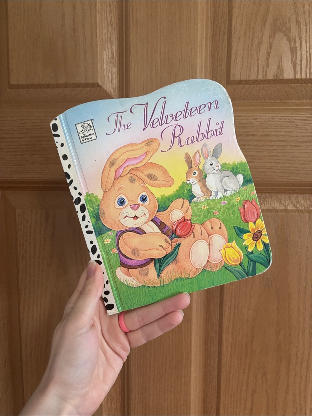 The Velveteen Rabbit Kids Book - Colorful Bunny Cover